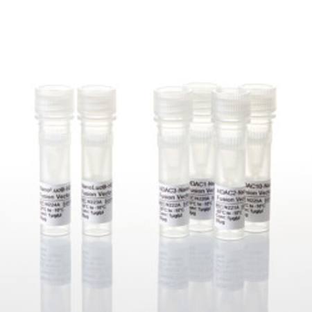 Buy NanoBRET(R) TE HDAC DNA Bundle in NZ. 