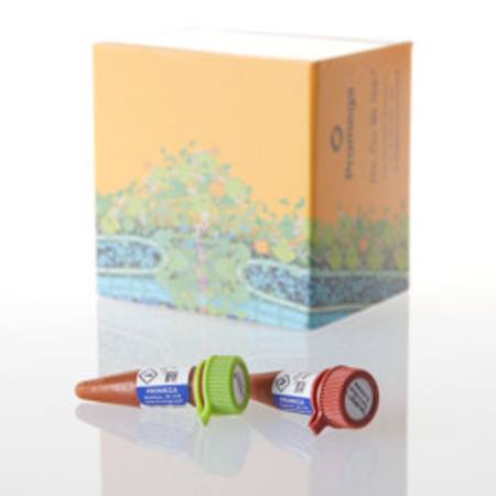 Buy Intracellular TE Nano-Glo(R) Substrate/Inhibitor, 1000 Assay in NZ.