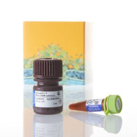 Buy Intracellular TE Nano-Glo(R) Substrate/Inhibitor, 10,000 Assy in NZ.