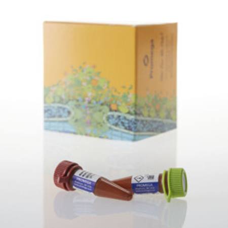 Buy Intracellular TE Nano-Glo(R) Substrate/Inhibitor, 100 assay in NZ.