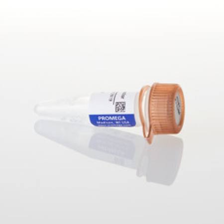 Buy pBiT3.1-N [CMV/HiBiT/Blast] Vector in NZ. 