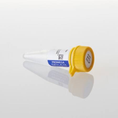 Buy pFC37K HiBiT CMV-neo Flexi(R) Vector in NZ.