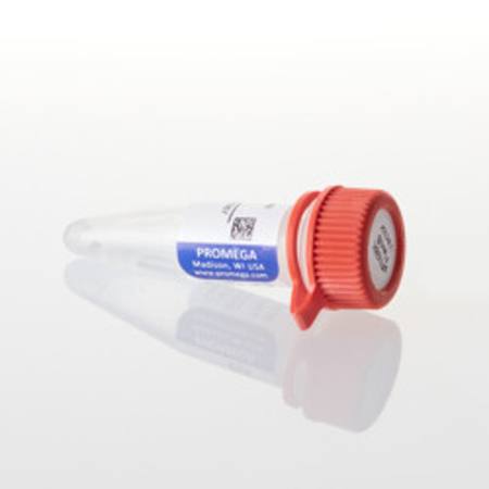 pFN38K HiBiT CMV-neo Flexi(R) Vector