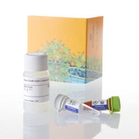 Buy Nano-Glo(R) HiBiT Extracellular Detection System, 10ml in NZ.
