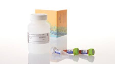 Buy Nano-Glo(R) HiBiT Extracellular Detection System, 100ml in NZ.
