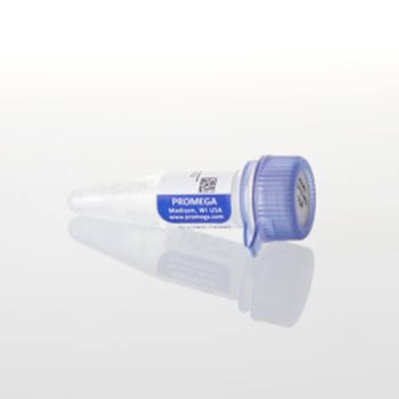 Buy BTK-NanoLuc(R) Fusion Vector in NZ.