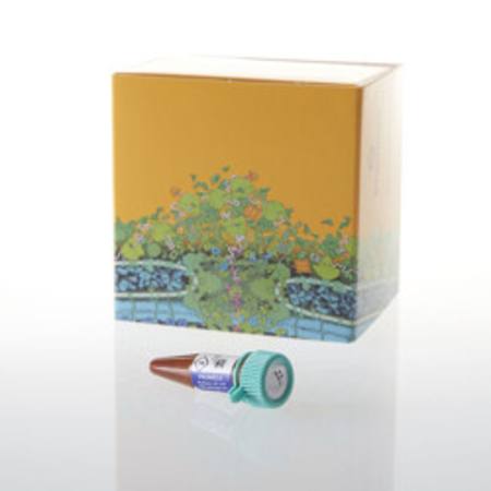 Buy NanoBRET(R) TE Tracer K-5, 550ul in NZ. 