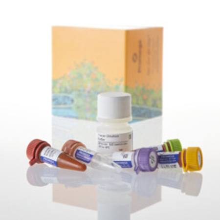 Buy NanoBRET(R) TE Intracellular Kinase Assay, K-5 in NZ.