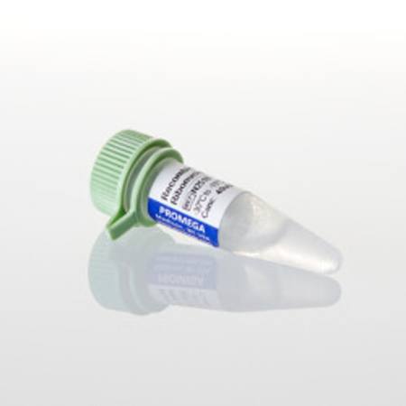 Buy Recombinant RNasin(R) RNase Inhibitor, 10,000u in NZ.