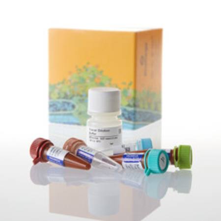 Buy NanoBRET(R) TE Intracellular Kinase Assay, K-4 in NZ.