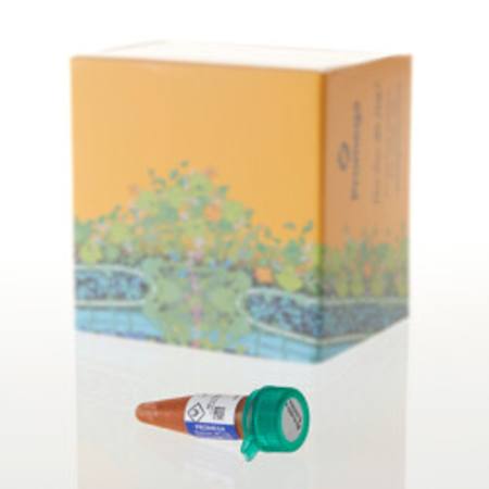 Buy Nano-Glo(R) Endurazine(TM) Live Cell Substrate, 0.1ml in NZ.