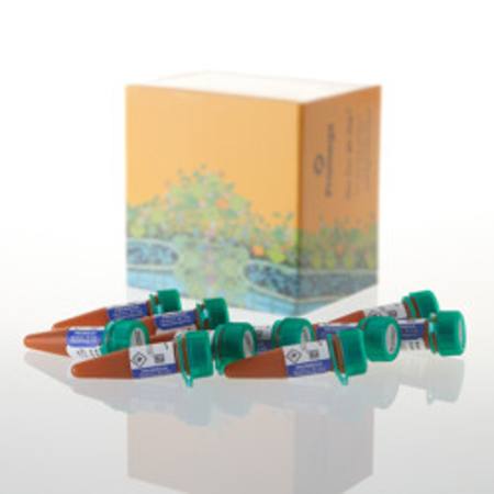 Buy Nano-Glo(R) Endurazine(TM) Live Cell Substrate, 10ml in NZ.