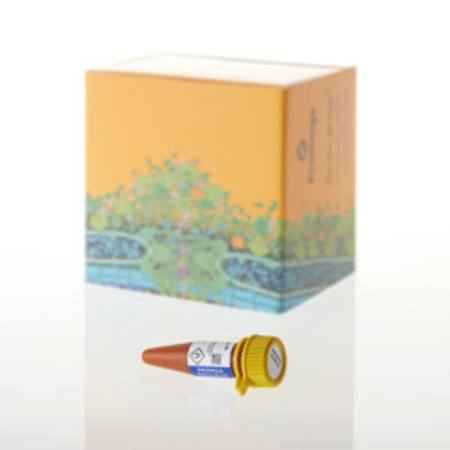 Buy Nano-Glo(R) Vivazine(R) Live Cell Substrate, 0.1ml in NZ. 