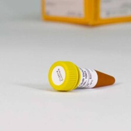 Buy Nano-Glo(R) Vivazine(R) Live Cell Substrate, 1ml in NZ. 