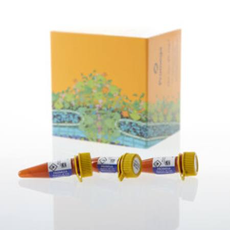 Buy NanoBRET(R) Nano-Glo(R) Kinetic Detection System, 200 in NZ.