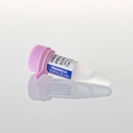 Buy RNasin(R) Plus RNase Inhibitor, 10,000u in NZ. 