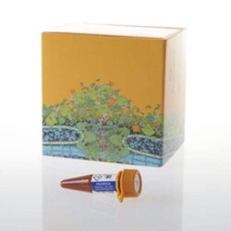Buy NanoBRET(R)  TE Tracer K-10, 300ul in NZ. 
