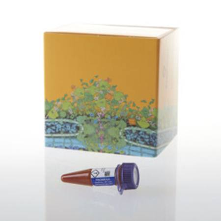 Buy NanoBRET(R) TE Tracer K-11, 300ul in NZ.