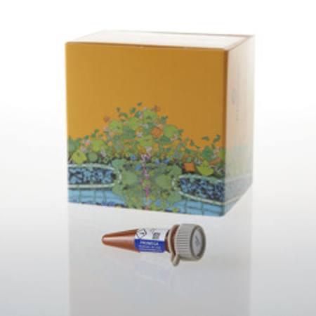 Buy CC1 pan-Kinase Inhibitor, 100ul in NZ. 