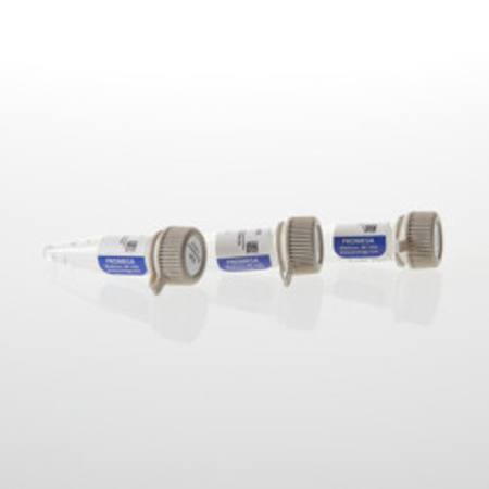 Buy DDB1 Expression Vector, 3 x 20ug in NZ.