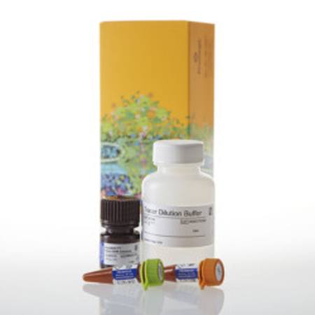 Buy NanoBRET(R) TE Intracellular Kinase Detec K-10, 10,000 asys in NZ.