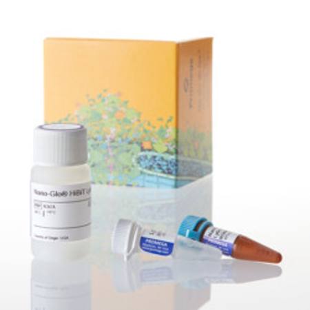 Buy Nano-Glo(R) HiBiT Lytic Detection System, 10ml in NZ.