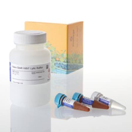 Buy Nano-Glo(R) HiBiT Lytic Detection System, 10 X 100ml in NZ. 