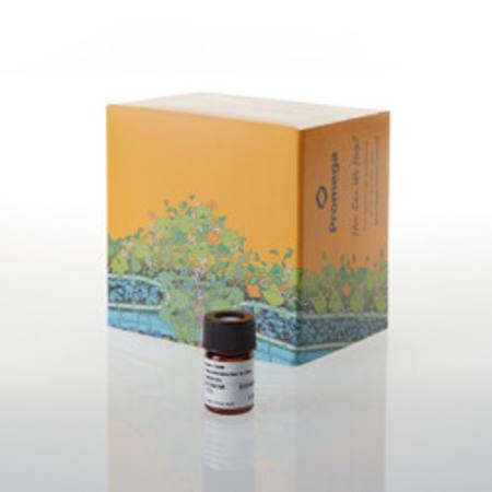 Buy Nano-Glo(R) Fluorofurimazine In Vivo Substrate in NZ. 