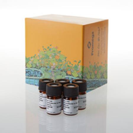 Buy Nano-Glo(R) Fluorofurimazine In Vivo Substrate in NZ.