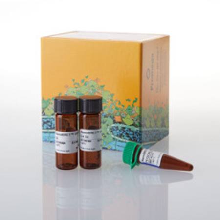 Buy NanoBRET(R) 590 SE Bundle in NZ.