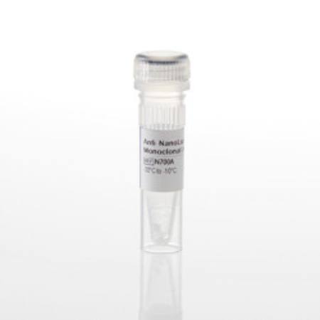 Buy Anti-NanoLuc(R) Monoclonal Antibody, 100ug in NZ.