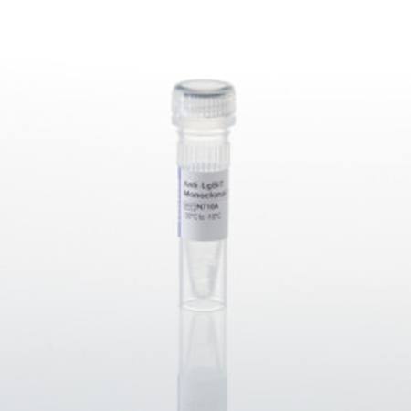 Buy Anti-LgBiT Monoclonal Antibody, 100ug in NZ.