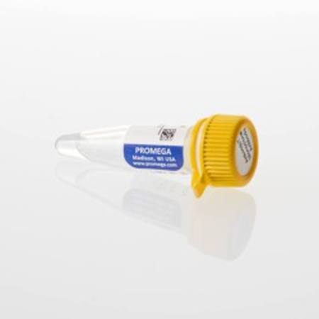Buy Anti-HiBiT Monoclonal Antibody, 100ug in NZ.