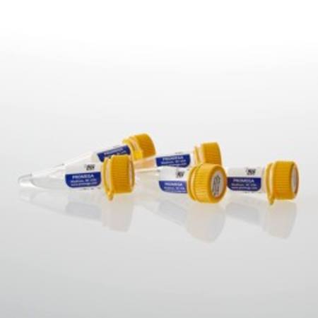 Buy Anti-HiBiT Monoclonal Antibody, 5 X 100ug in NZ. 
