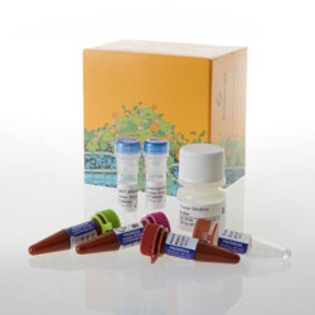 Buy NanoBRET(R) TE Intracellular RAS Assay, 100 assays in NZ.