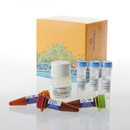 Buy NanoBRET(R) TE Intracellular RAF Dimer Assay A, 100 assays in NZ. 
