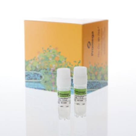 Buy TransfectNow(TM) HEK293 Cells, 2 x 1ml in NZ.