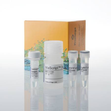 Buy ViaScript(R) LgBiT mRNA Delivery System plus eGFP in NZ. 