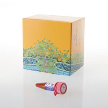 Buy NanoBRET(R) TE Tracer K-12, 400uM, 0.3ml in NZ.