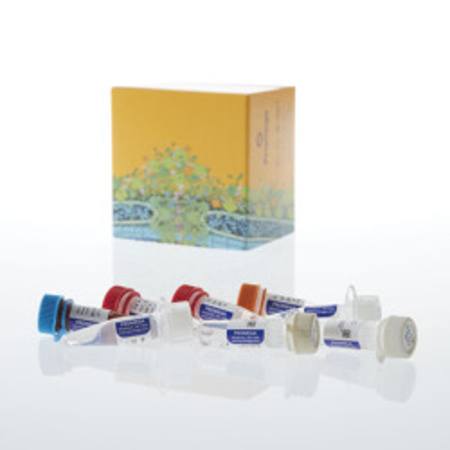 Buy ProNex(R) DNA QC Assay ABI 7500/7500FAST, 200rxn in NZ.