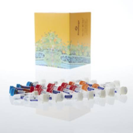Buy ProNex(R) DNA QC Assay ABI 7500/7500FAST, 800rxn in NZ.