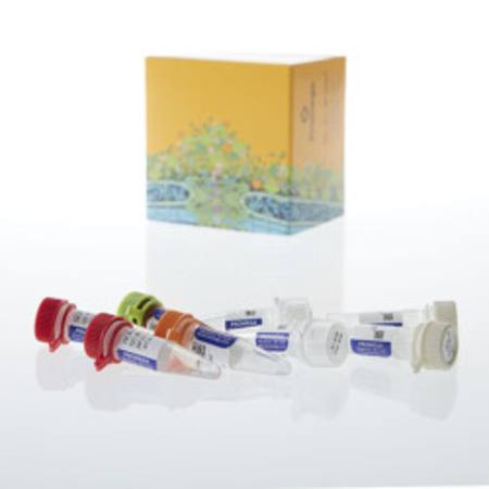 Buy ProNex(R) DNA QC Assay BioRad CFX96(TM), 200rxn in NZ.