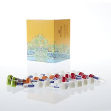 Buy ProNex(R) DNA QC Assay BioRad CFX96(TM), 800rxn in NZ.