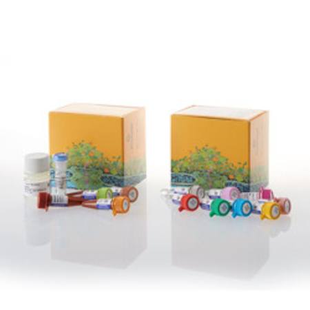 Buy NanoBRET(R) TE CDK Selectivity System B in NZ.