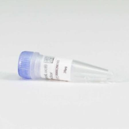 Buy NanoLuc(R)-TBK1 Fusion Vector in NZ. 
