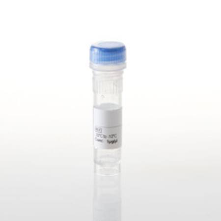 NanoLuc(R)-MOK Fusion Vector
