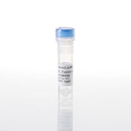 Buy NanoLuc(R)-SIK3 FL Fusion Vector in NZ.