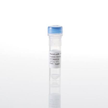 Buy NanoLuc(R)-TNK2(Iso1) Fusion Vector in NZ. 