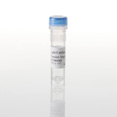 Buy LgBiT-KRAS WT Fusion Vector in NZ.