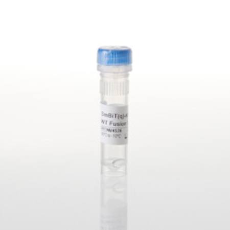 Buy SmBiT(q)-KRAS WT Fusion Vector in NZ.